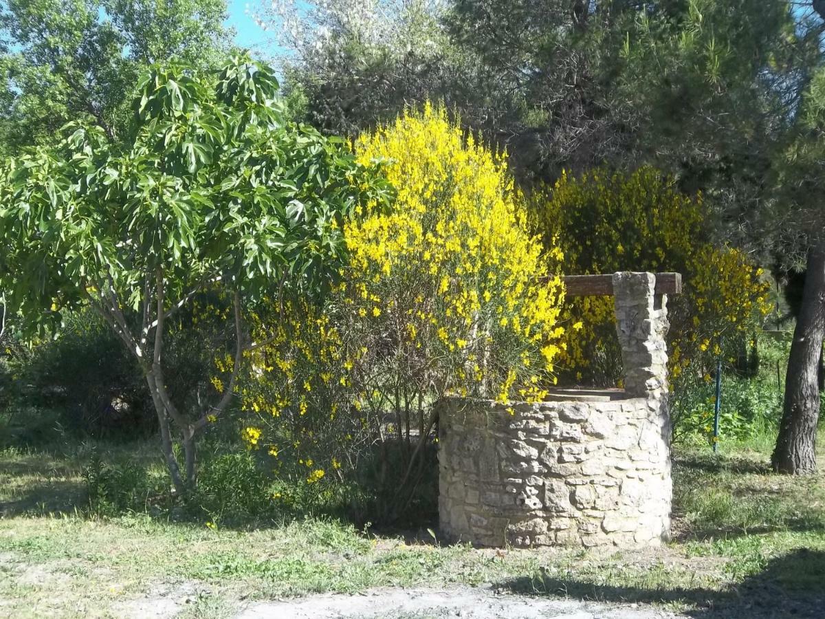 B&B Le Petit Frigouye Rochefort-du-Gard Exteriér fotografie