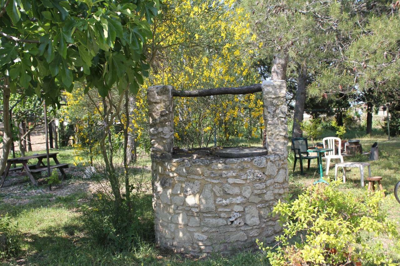 B&B Le Petit Frigouye Rochefort-du-Gard Exteriér fotografie